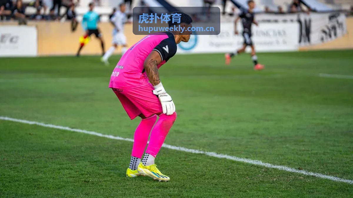 虎扑体育CBA球员表现亮点